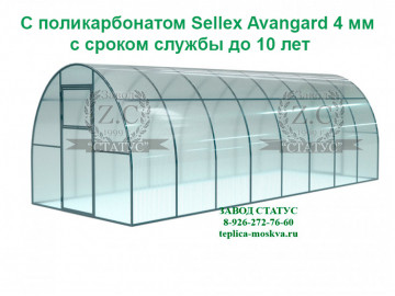 Арочная теплица 3х8 шаг 100см профиль 25х25 с поликарбонатом 4мм Sellex Avangard
