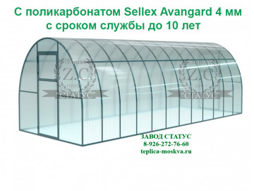 Арочная теплица 3х8 шаг 65см с поликарбонатом 4мм Sellex Avangard