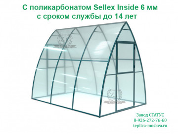 Каплевидная 2 на 3 из поликарбоната Sellex Inside 6 мм шаг 100 см