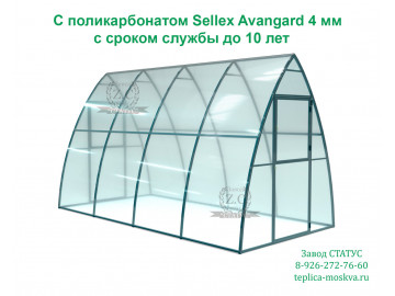 Каплевидная 2 на 4 каркас из поликарбоната  Sellex Avangard 4 мм шаг 100 см
