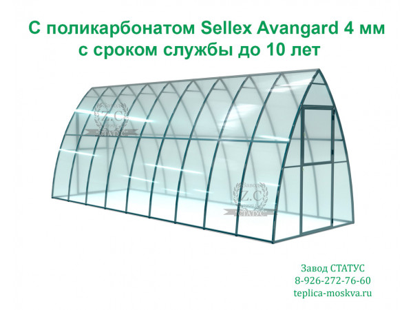 Теплица капелька 2 на 6 шаг 65 см. из поликарбоната Sellex Avangard 4 мм