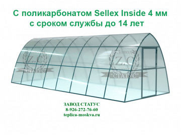 Каплевидная 3 на 8 из профиля 25 на 25 из поликарбоната Sellex Inside 4 мм., шаг 1м