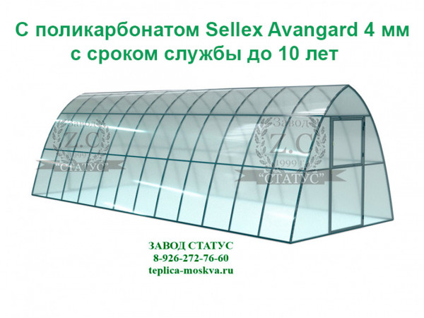 Теплица каплевидная 3 на 8 с поликарбонатом Sellex Avangard 4 мм. из профиля 25 на 25, шаг 65 см. 