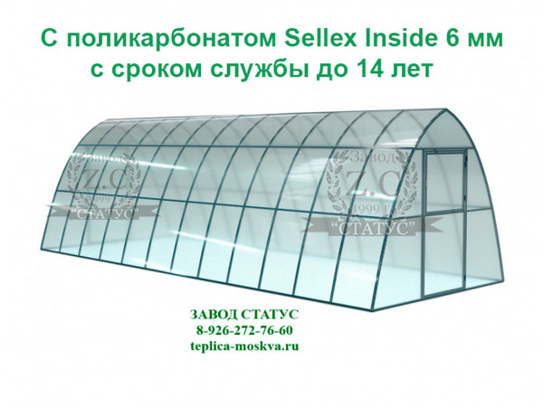Теплица каплевидная 2.5 на 8 с поликарбонатом Sellex Inside 6 мм. из профиля 25 на 25, шаг 65 см