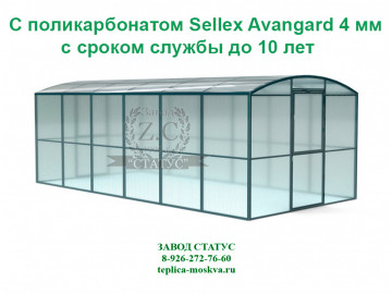Прямостенная 3 на 6 шаг 1 м из поликарбоната Sellex Avangard 4 мм