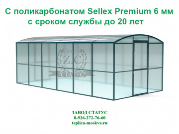 Прямостенная 3 на 6 шаг 1 м из поликарбоната Sellex Premium 6 мм