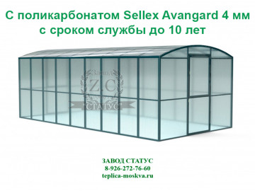 Прямостенная 3 на 6 шаг 65 см из поликарбоната Sellex Avangard 4 мм