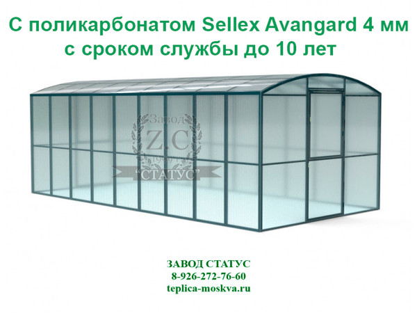 Прямостенная 3 на 6 шаг 65 см из поликарбоната Sellex Avangard 4 мм