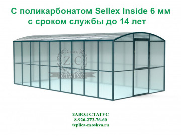 Прямостенная 3 на 6 шаг 65 см из поликарбоната Sellex Inside 6 мм