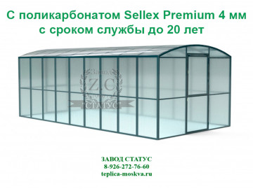 Прямостенная 3 на 6 шаг 65 см из поликарбоната Sellex Premium 4 мм