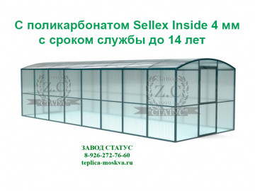 Прямостенная 3 на 8 шаг 100 см из поликарбоната Sellex Inside 4 мм