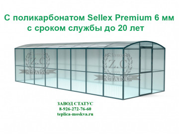 Прямостенная 3 на 8 шаг 100 см из поликарбоната Sellex Premium 6 мм