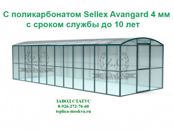 Прямостенная 3 на 8 шаг 65 см из поликарбоната Sellex Avangard 4 мм