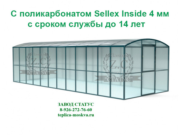 Прямостенная 3 на 8 шаг 65 см из поликарбоната Sellex Inside 4 мм