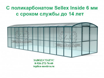 Прямостенная 3 на 8 шаг 65 см из поликарбоната Sellex Inside 6 мм