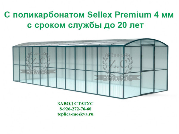 Прямостенная 3 на 8 шаг 65 см из поликарбоната Sellex Premium  4 мм